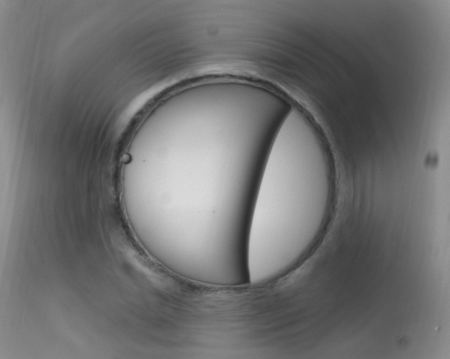 X0000113630830200909181302