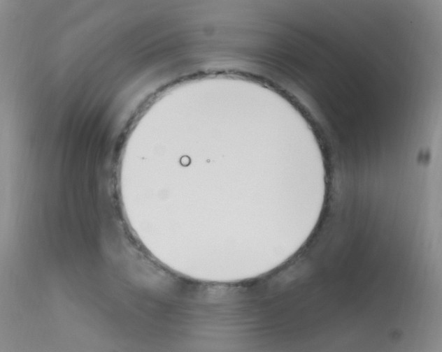 X0000113630832200909181302
