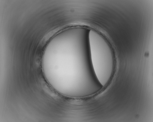 X0000113630833200909181302