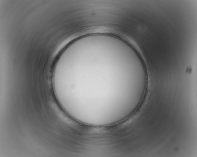 X0000113630835200909181302
