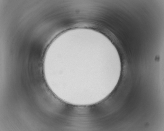 X0000113630836200909181303