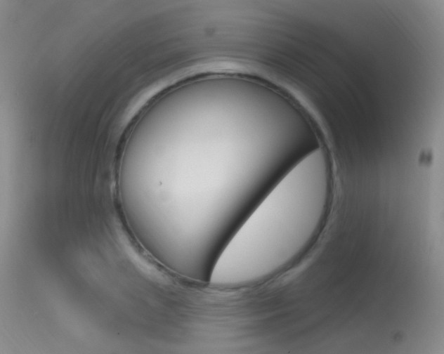 X0000113630837200909181303