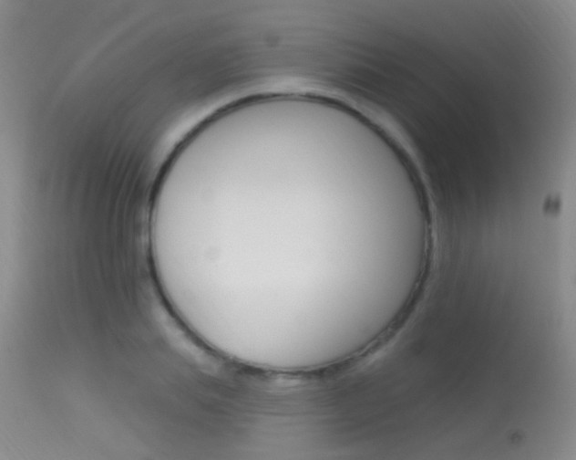 X0000113630839200909181303