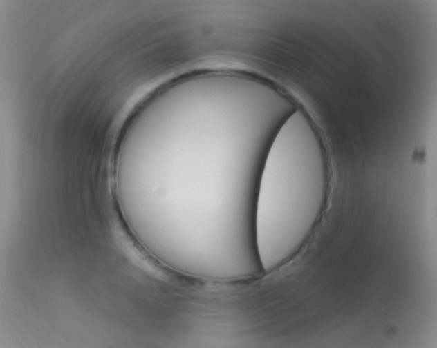 X0000113630840200909181303