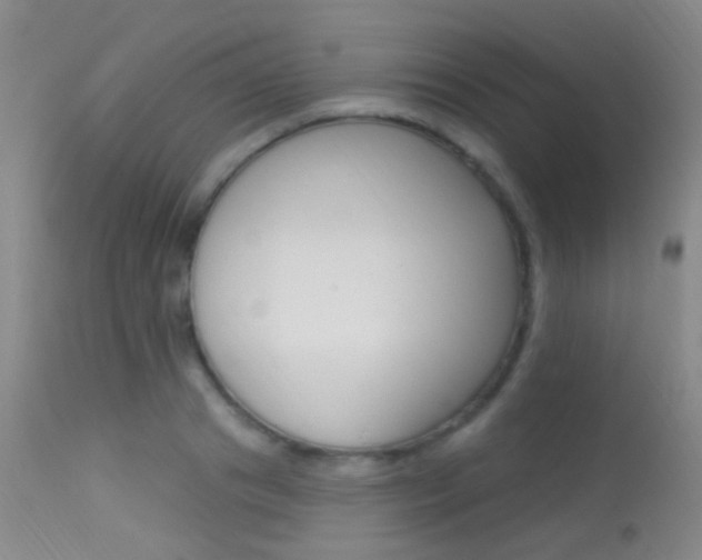 X0000113630841200909181303