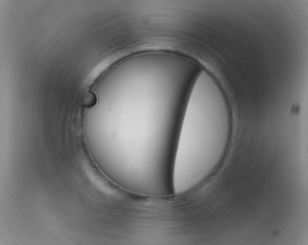 X0000113630842200909181303