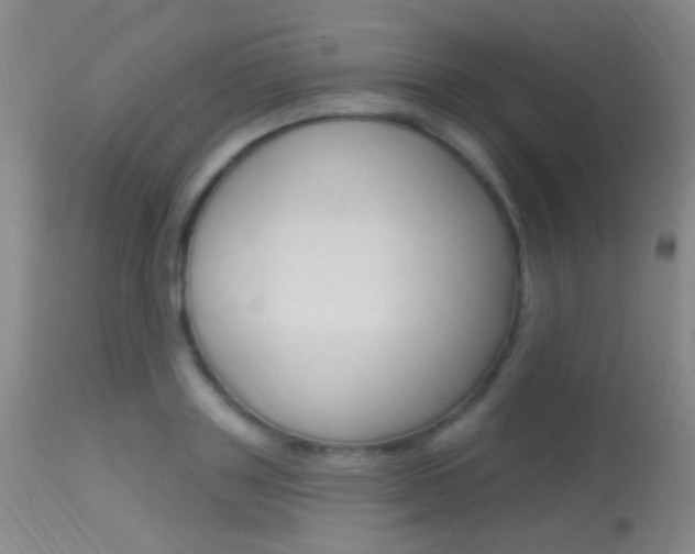 X0000113630843200909181303