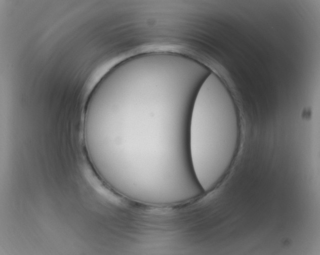 X0000113630844200909181303