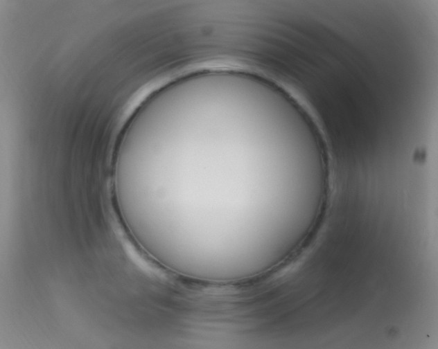X0000113630845200909181303