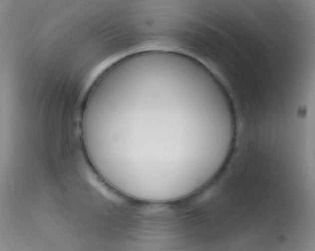 X0000113630846200909181303