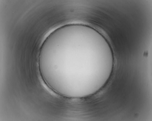 X0000113630847200909181303