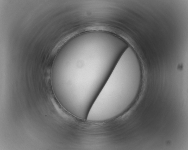 X0000113630849200909181303