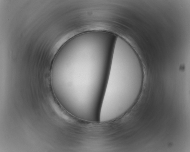 X0000113630850200909181303