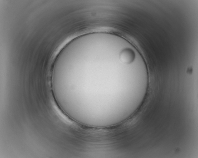 X0000113630851200909181303