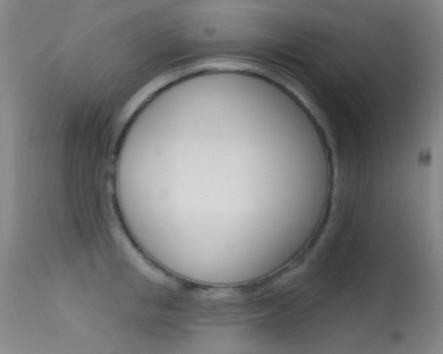 X0000113630853200909181303
