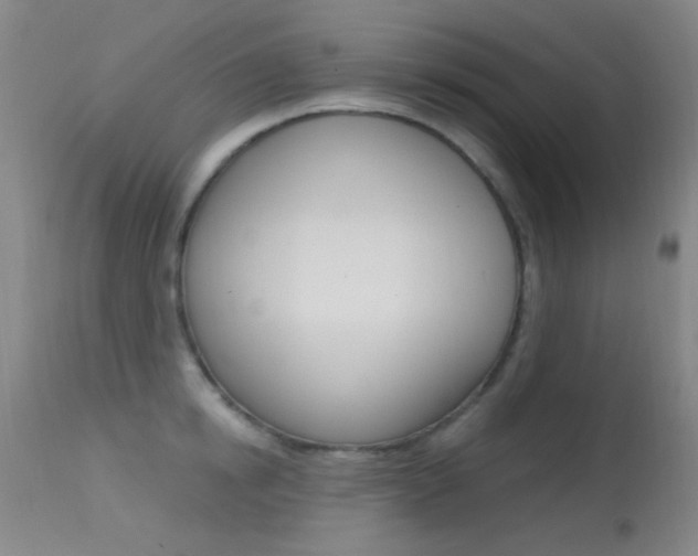 X0000113630854200909181303