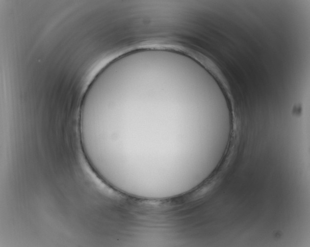 X0000113630855200909181303