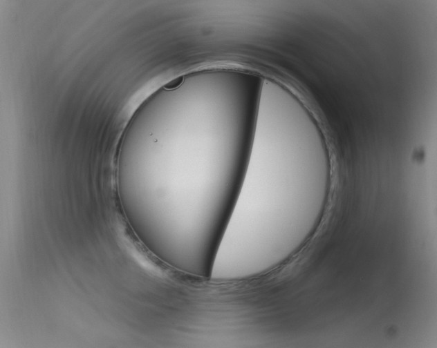 X0000113630858200909181303