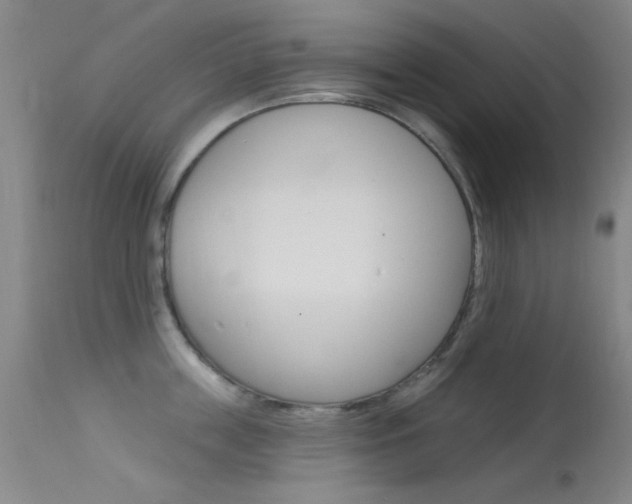 X0000113630859200909181303
