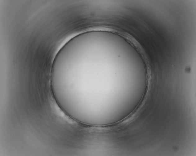 X0000113630860200909181303