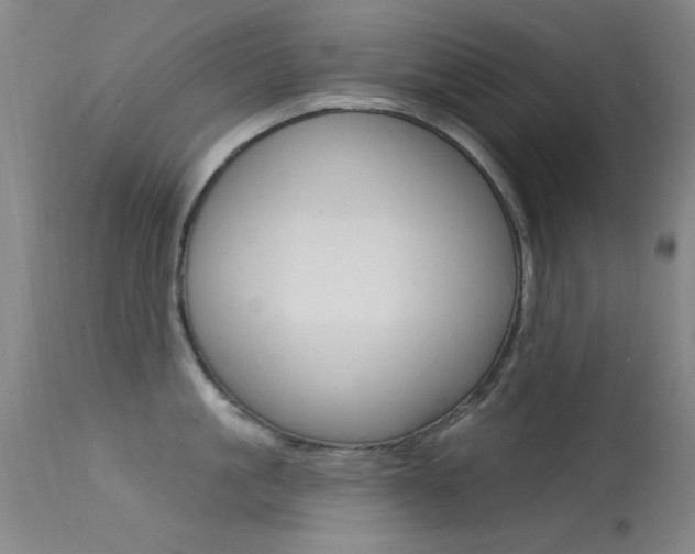 X0000113630861200909181303