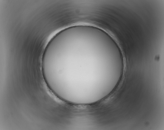 X0000113630862200909181303