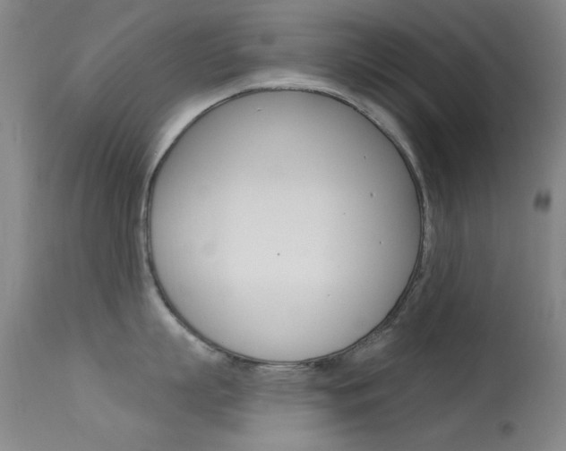 X0000113630863200909181303