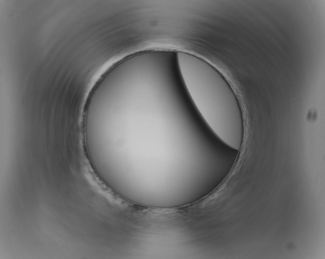 X0000113630864200909181303