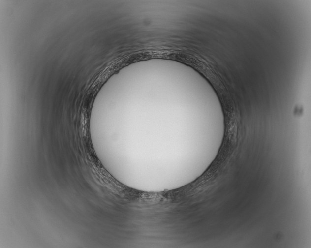 X0000113630866200909181302
