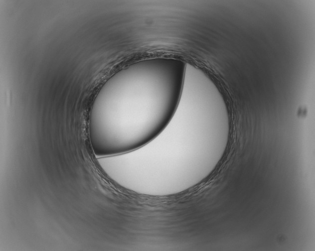X0000113630868200909181302