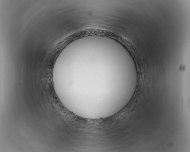 X0000113630870200909181302
