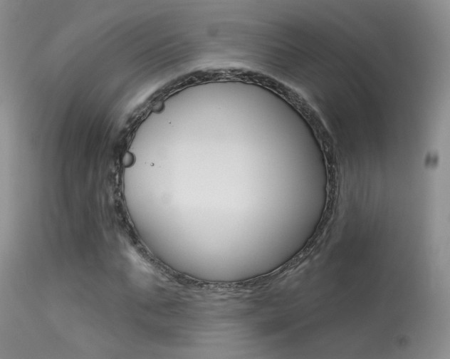 X0000113630871200909181302