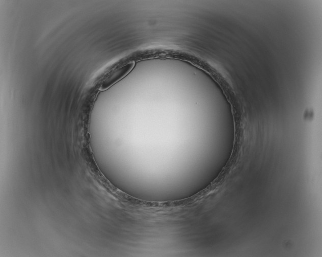 X0000113630872200909181302
