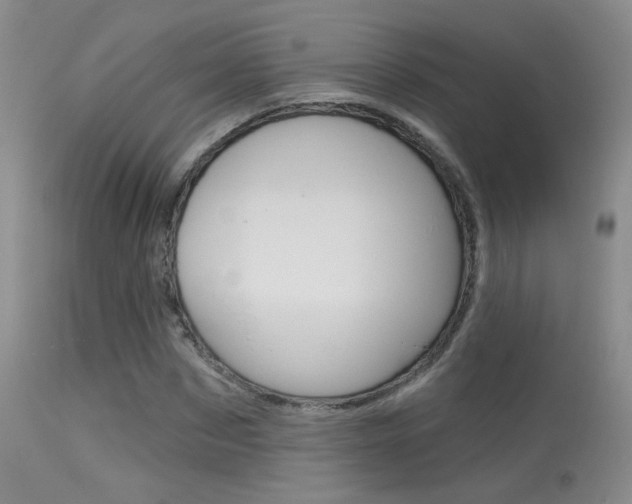 X0000113630873200909181302