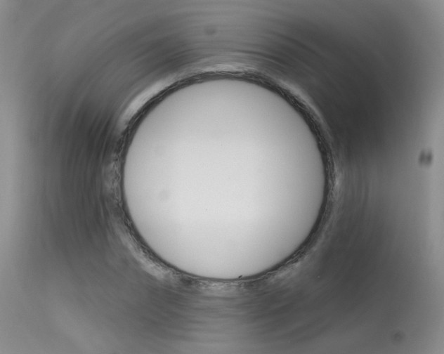 X0000113630874200909181302