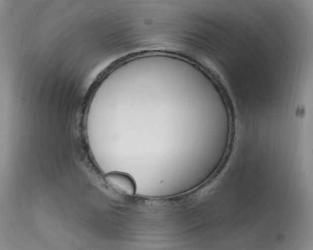 X0000113630875200909181302