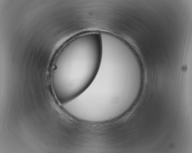 X0000113630876200909181302