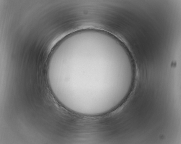 X0000113630877200909181302