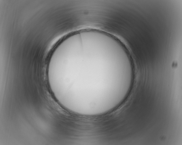 X0000113630878200909181302