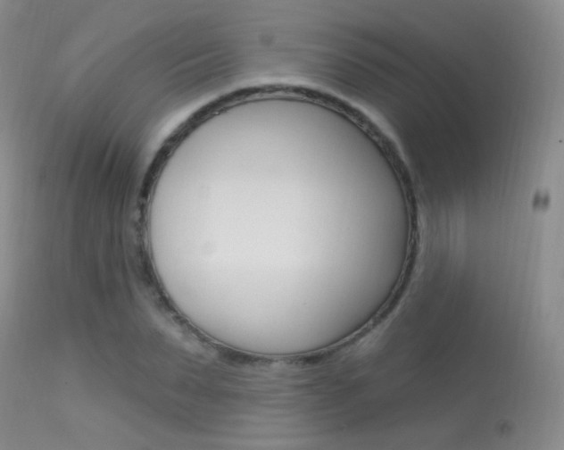 X0000113630879200909181302