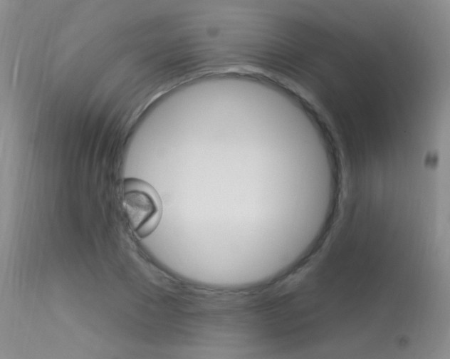 X0000113630881200909181302