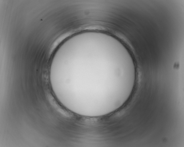 X0000113630882200909181302