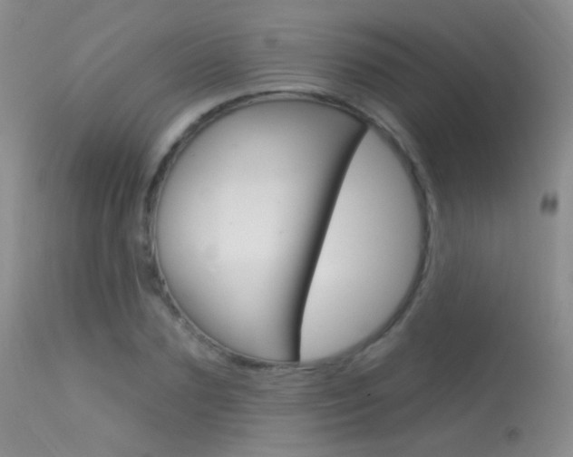 X0000113630883200909181302