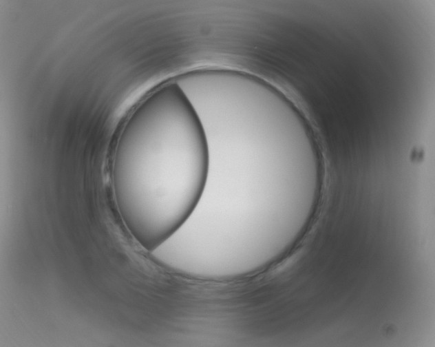 X0000113630885200909181302