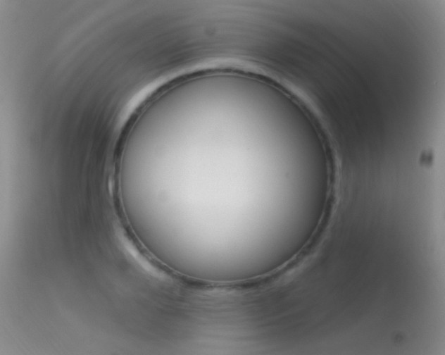X0000113630888200909181302