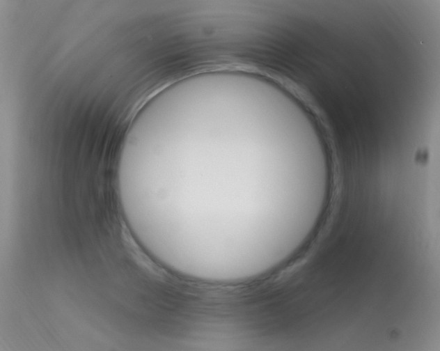 X0000113630889200909181302