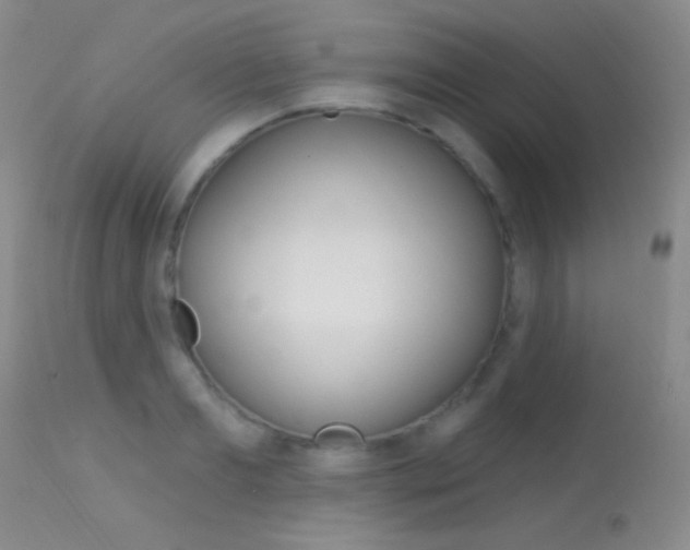 X0000113630893200909181302
