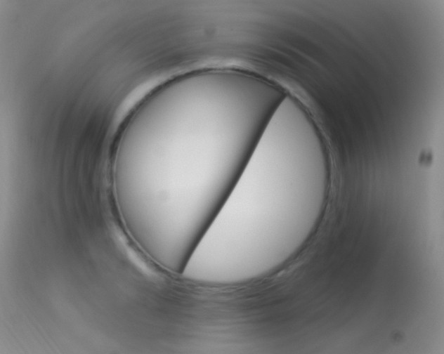 X0000113630894200909181302