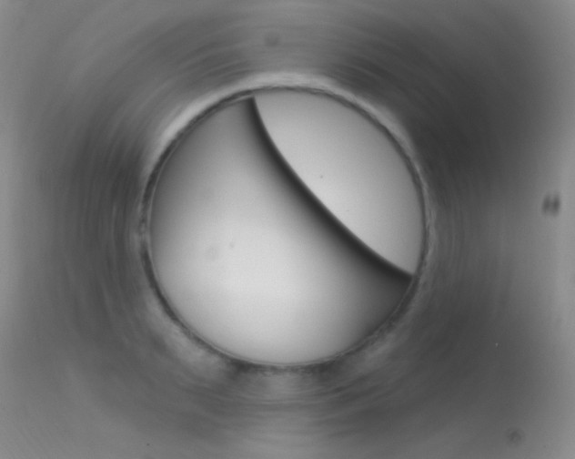 X0000113630895200909181302