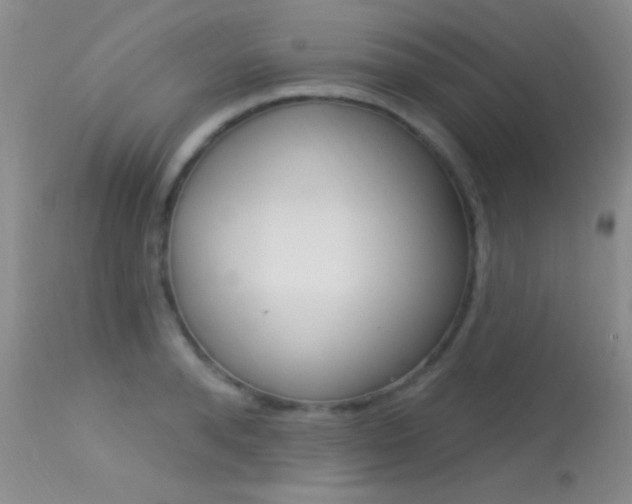 X0000113630896200909181302